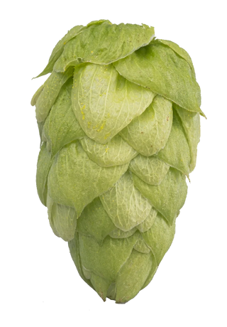 Lúpulo Enigma Mascraft hops