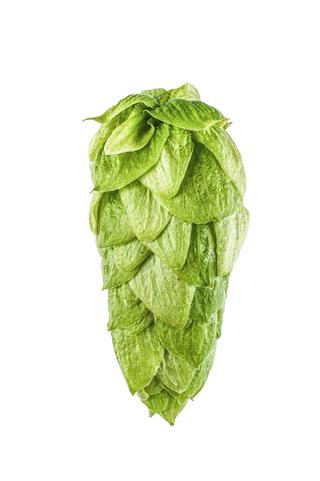 Lúpulo Superdelic Mascraft Hops