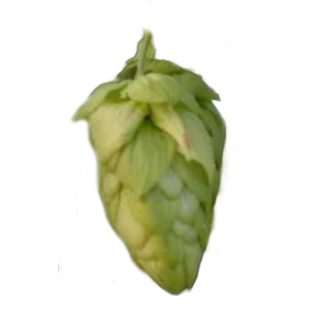Lúpulo Alpharoma