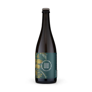 Front view of Wild WILDFLOWER Gold 75cl craft beer can - Buy at Mascraft