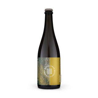 Front view of Wild WILDFLOWER Good As Gold 75cl craft beer can - Buy at Mascraft