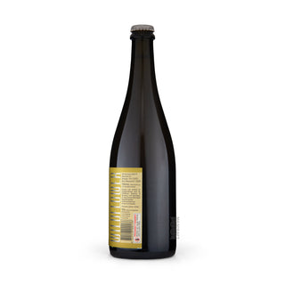Right side of Wild WILDFLOWER Good As Gold 75cl craft beer can - Available at Mascraft