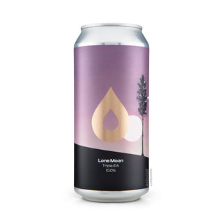 Cerveza TIPA POLLY'S Lone Moon 44cl vista frontal - Comprar en Mascraft
